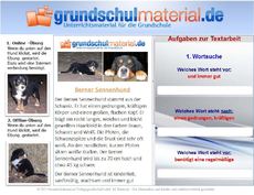 Berner Sennenhund.zip